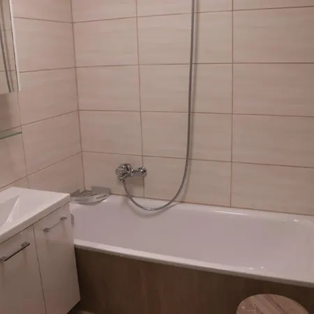 Ferienwohnung Harz Hohegeiss App 424 * Braunlage