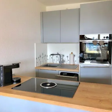 Apartment Ferienwohnung Harz Hohegeiss App 424 *
