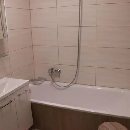 Ferienwohnung Harz Hohegeiss App 424 Apartment