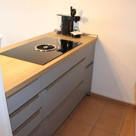 Ferienwohnung Harz Hohegeiss App 424